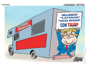 cartón 6