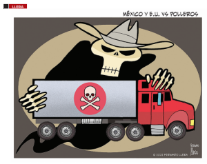 Cartón 8