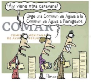 WhatsApp Image 2023-09-25 at 05.10.35