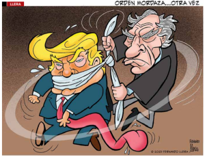 Cartón 01 diciembre 2