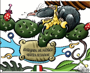 Cartón 20 diciembre