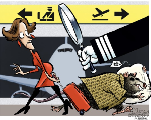 Cartón 21 diciembre 02