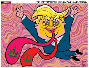 Trump propone legalizar la mariguana