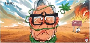 WhatsApp Image 2024-10-21 at 06.30.30