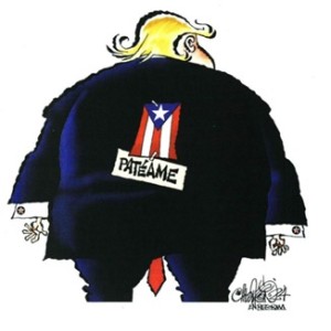 WhatsApp Image 2024-10-30 at 5.57.57 AM