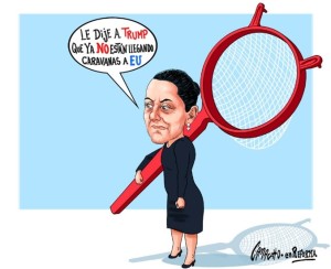 No llegan caravanas
