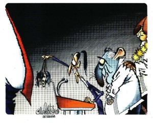 WhatsApp Image 2025-08-13 at 5.40.07 AM