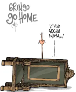 Gringo go home